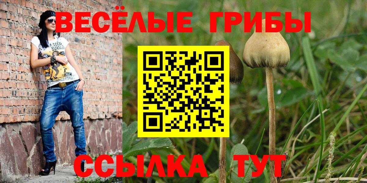 Карпинск  Галлюциногенные грибы MAGIC MUSHROOMS  Галлюциногенные грибы ЛСД  Вход с VPN 